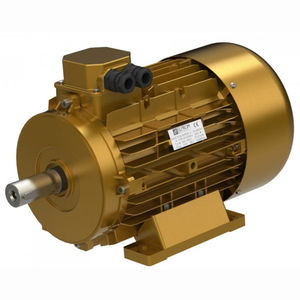 moteur à haut rendement / triphasé / asynchrone / 400 V