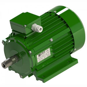 moteur triphasé / asynchrone / 400 V / à plusieurs vitesses