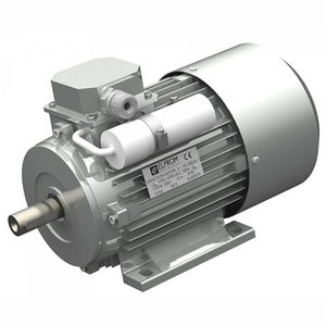 moteur à condensateur permanent et de démarrage / monophasé / asynchrone / 220 V