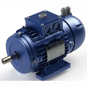 moteur à variation de vitesse intégrée / AC / synchrone / à haut rendement