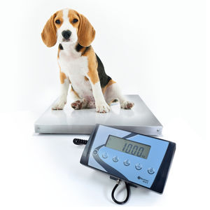balance pour animaux
