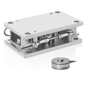 module de pesage en acier inoxydable 1