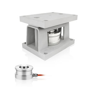 module de pesage en inox 1