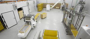 ligne de production de pâtes sèches