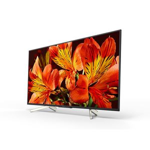 moniteur LCD / numérique / 43