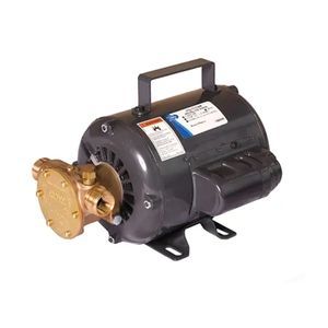 pompe à rotor 1