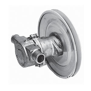 pompe à rotor 1