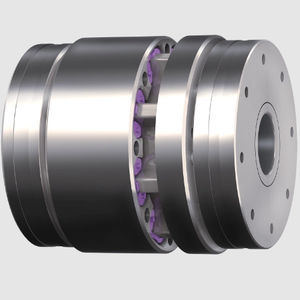 accouplement flexible en torsion