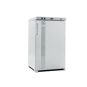 incubateur à convection forcée 1