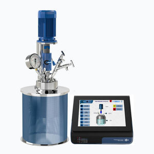 réacteur avec autoclave sous haute pression