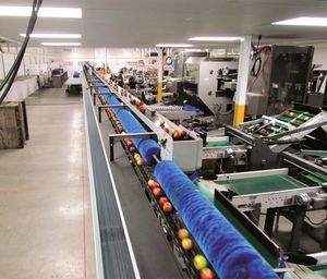 trieuse pour l'industrie agroalimentaire 1