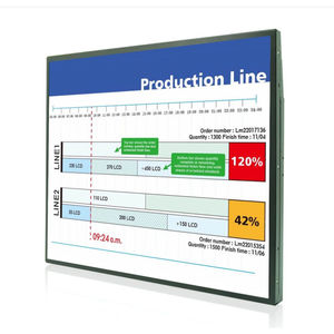 moniteur LCD 1