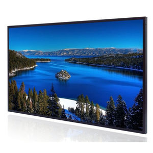 moniteur LCD 1