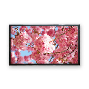 moniteur LCD