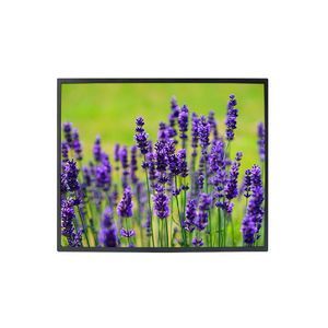 moniteur TFT-LCD 1