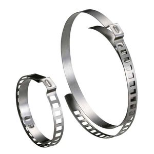 collier de serrage en acier inoxydable