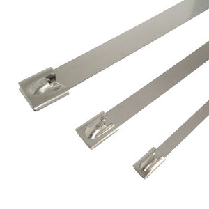 collier de serrage en acier inoxydable / verrouillage à dents / à verrouillage à bille