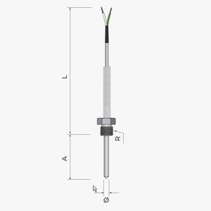 sonde de température RTD