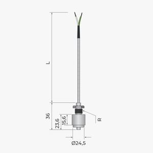 sonde de température RTD