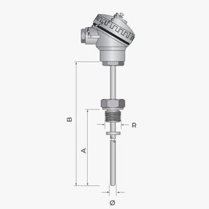 sonde de température RTD