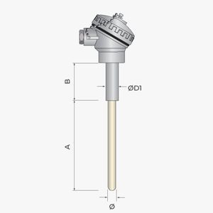 sonde de température RTD