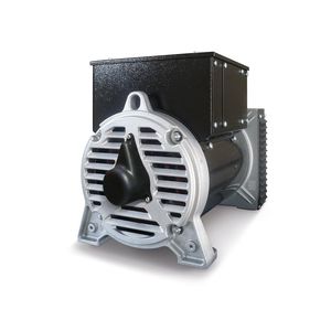 alternateur triphasé / 2 pôles / basse tension / de tension AC