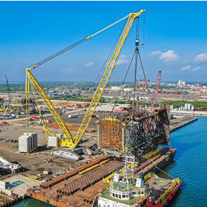 grue sur chenilles
