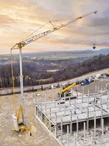 grue treillis