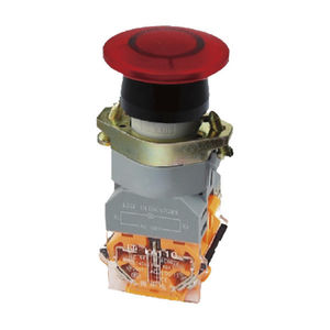bouton poussoir coup de poing 1