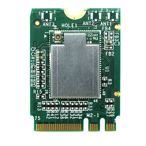 module sans fil WiFi 1