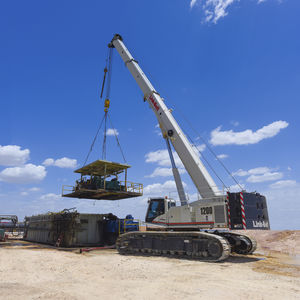 grue sur chenilles / à flèche / télescopique / treillis