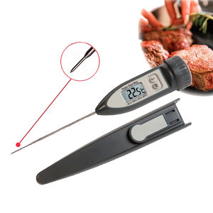 thermomètre à sonde 1