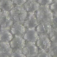toile pour filtre presse en PVC