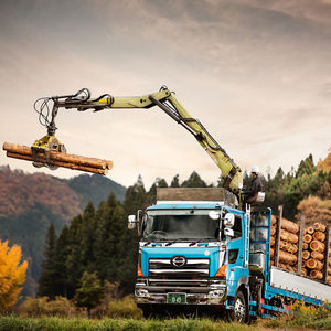 grue forestière à flèche articulée 1