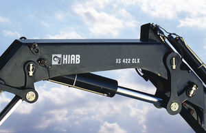 camion grue 1