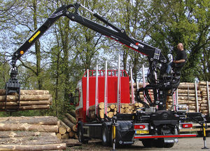 grue forestière à flèche articulée 1