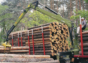 grue forestière à flèche articulée 1