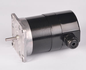 moteur synchrone 1