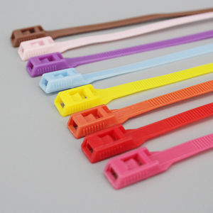 collier de câblage en plastique 1