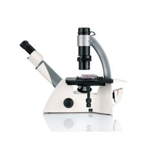 microscope optique