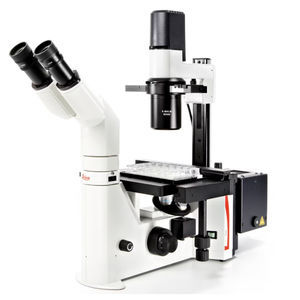 microscope optique