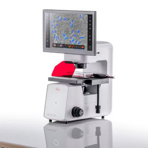 microscope numérique