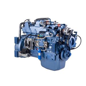moteur à gaz 1