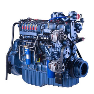moteur à gaz 1