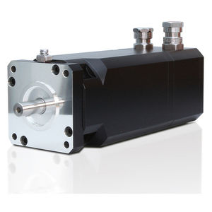 servomoteur biphasé 1