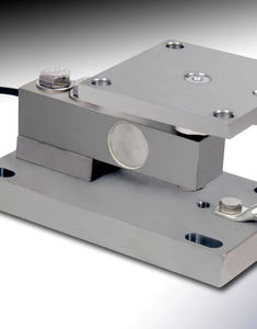 module de pesage en inox 1