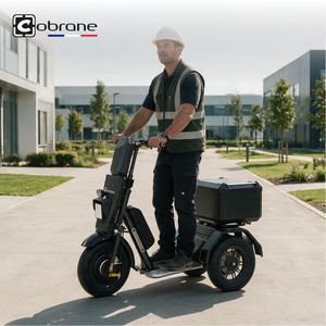 triporteur