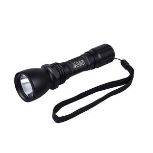 lampe torche UV