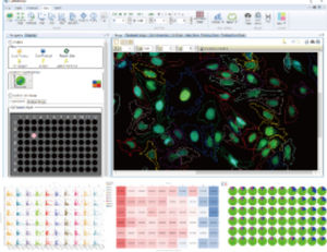 logiciel d'analyse