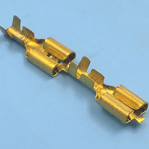 cosse 1